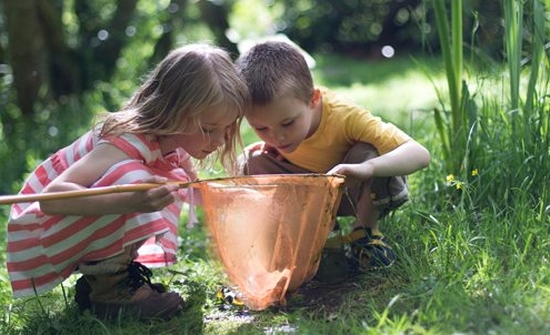 Nature-Based Education at Discovery Preschools